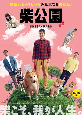 最新91在线视频
