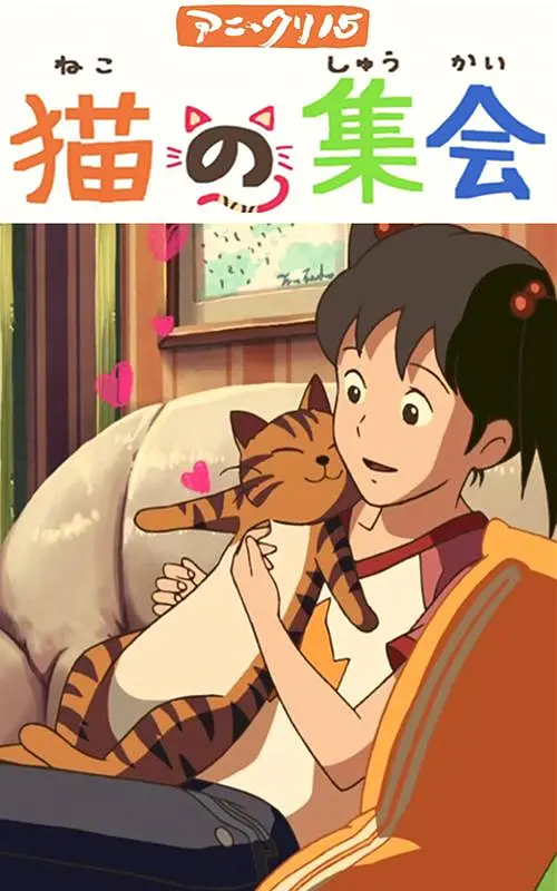 91手机视频在线