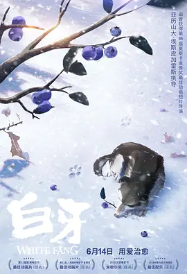 欧美hd