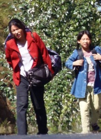 日本一本高清视频