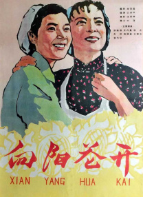 四库影音