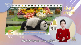 精品国产成人在线